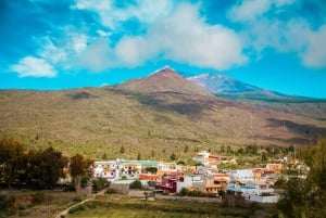 From Santa Cruz: Teide Volcano, Icod, & Garachico Tour