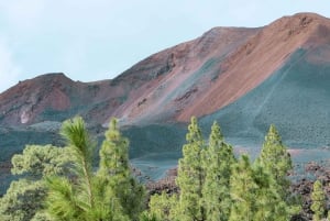 From Santa Cruz: Teide Volcano, Icod, & Garachico Tour