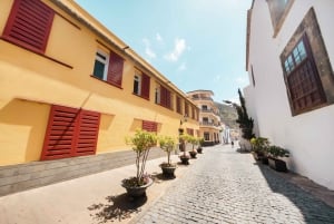 From Santa Cruz: Teide Volcano, Icod, & Garachico Tour