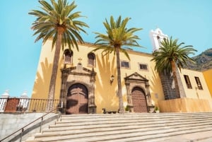 From Santa Cruz: Teide Volcano, Icod, & Garachico Tour