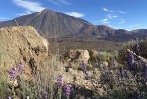 From Santa Cruz : Visit Teide National Park (for cruise-ship passengers)