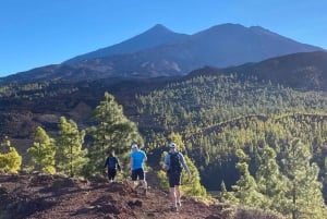 From Santa Cruz : Visit Teide National Park (for cruise-ship passengers)