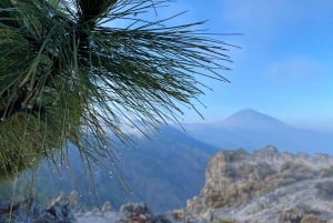 From Santa Cruz : Visit Teide National Park (for cruise-ship passengers)