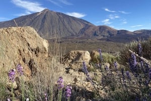 From Santa Cruz : Visit Teide National Park (for cruise-ship passengers)