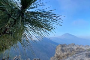 From Santa Cruz : Visit Teide National Park (for cruise-ship passengers)
