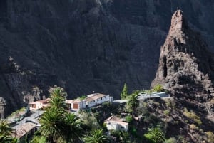 Desde Tenerife Sur: Excursión VIP de un día por la isla