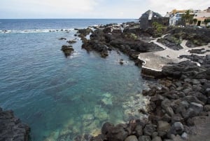 From South Tenerife: Full-Day VIP Island Tour