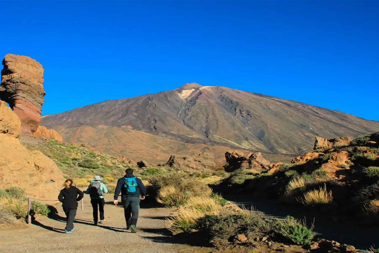 Depuis le sud de Ténérife : Visite d'une demi-journée au Mont Teide