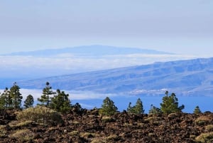 Depuis le sud de Ténérife : Visite d'une demi-journée au Mont Teide