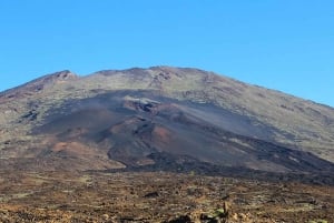 Depuis le sud de Ténérife : Visite d'une demi-journée au Mont Teide