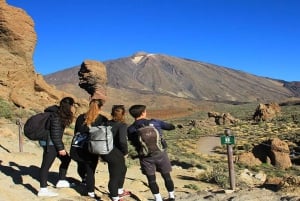 Depuis le sud de Ténérife : Visite d'une demi-journée au Mont Teide