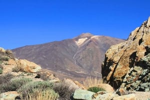Depuis le sud de Ténérife : Visite d'une demi-journée au Mont Teide