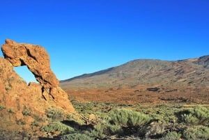 Depuis le sud de Ténérife : Visite d'une demi-journée au Mont Teide