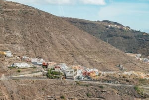 Desde Tenerife Sur: Excursión de un día a la isla de La Gomera con almuerzo