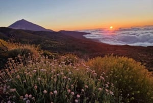 From South Tenerife: Mount Teide Hiking Day Trip & Cable Car