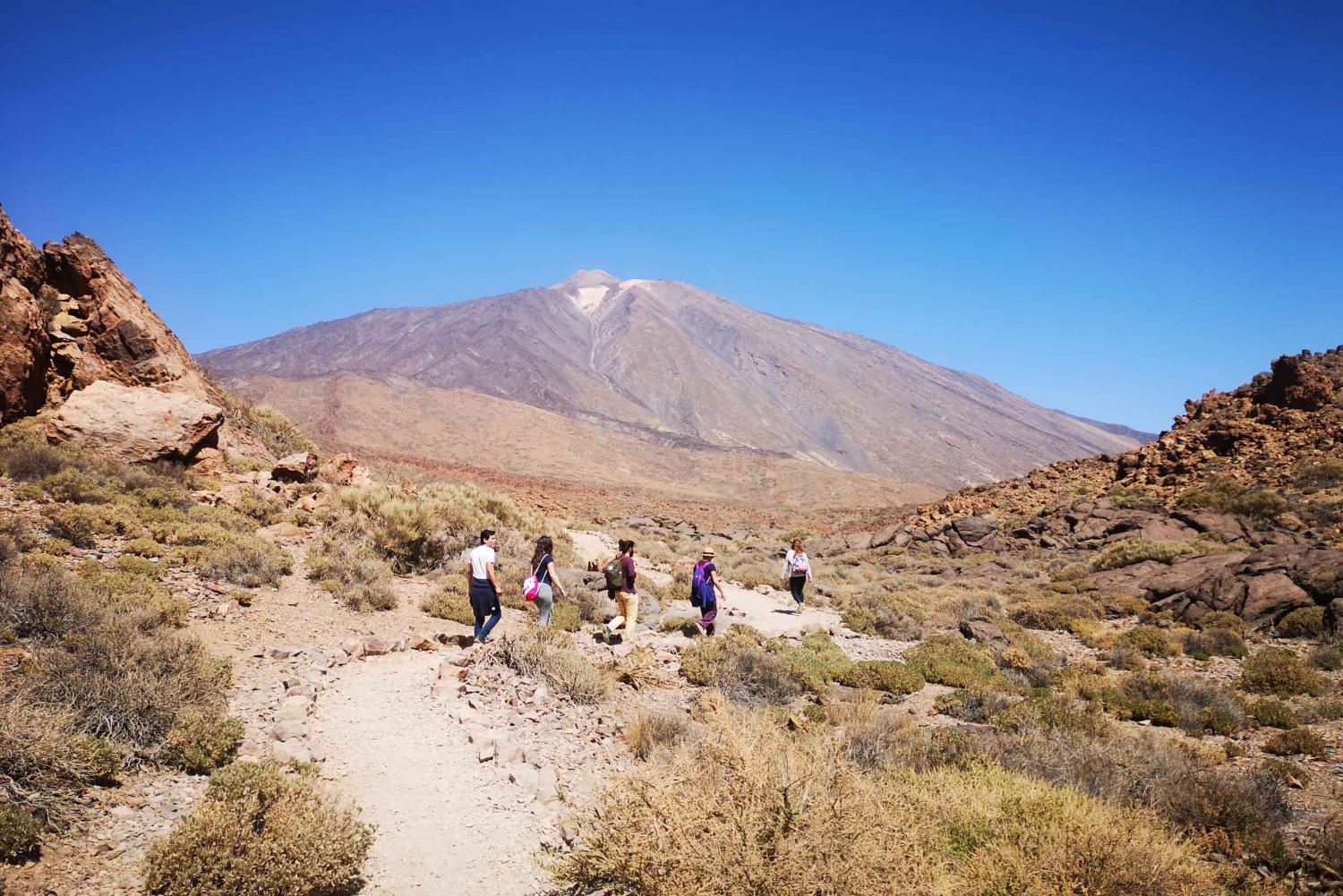 From South Tenerife: Teide National Park Tour