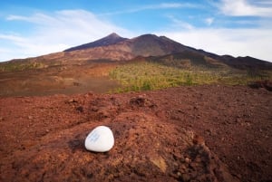 From South Tenerife: Teide National Park Tour