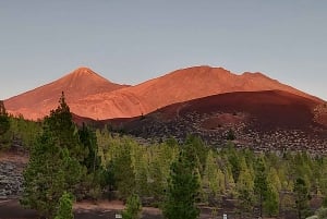 Desde Tenerife Sur: Excursión al Parque Nacional del Teide