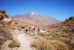 Z południa Teneryfy: wycieczka po Parku Narodowym Teide
