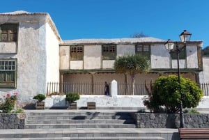 Z południa Teneryfy: wycieczka po Parku Narodowym Teide