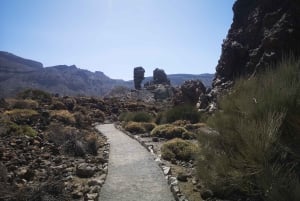 Z południa Teneryfy: wycieczka po Parku Narodowym Teide