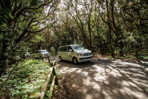 Desde el sur de Tenerife: tour VIP de La Gomera