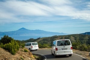 From South Tenerife: VIP Gomera Tour