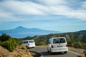 С юга Тенерифе: VIP-тур на Гомеру