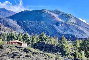 From Tenerife: Day Trip to La Palma Volcanic Landscapes