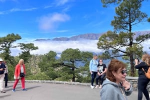 Day Trip to La Palma Volcanic Landscapes