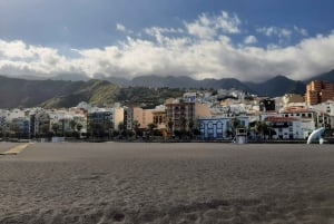 From Tenerife: Day Trip to La Palma Volcanic Landscapes