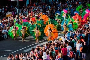 From Tenerife South: Carnival Parade Santa Cruz de Tenerife