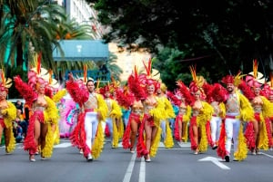 From Tenerife South: Carnival Parade Santa Cruz de Tenerife