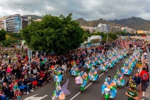 Fra det sydlige Tenerife: Karnevalsparade Santa Cruz de Tenerife