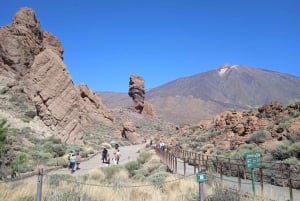 From Tenerife: Teide National Park Guided Day Trip by Bus