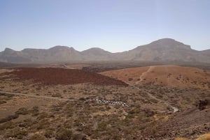 Desde Tenerife: Excursión guiada de un día en autobús al Parque Nacional del Teide