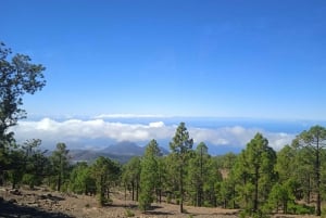 Desde Tenerife: Excursión guiada de un día en autobús al Parque Nacional del Teide