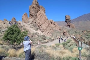 From Tenerife: Teide National Park Guided Day Trip by Bus