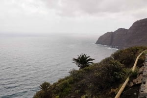 From the South of tenerife : La Gomera full day trip