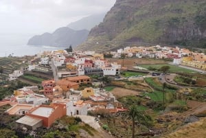 From the South of tenerife : La Gomera full day trip