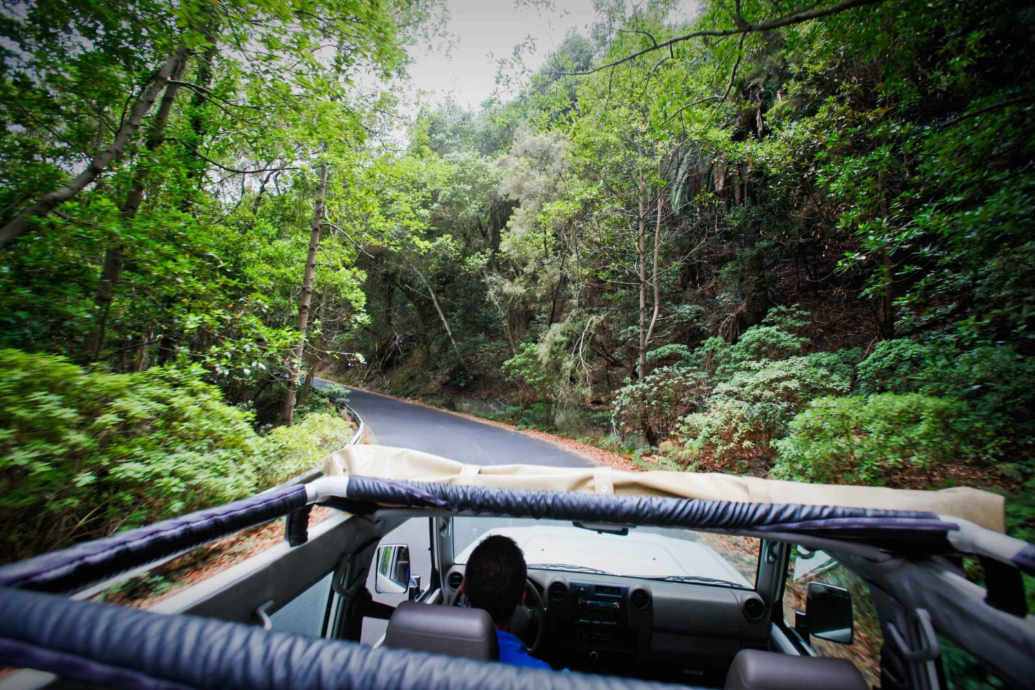 Full-Day Gomera Jeep Safari Excursion from Arona