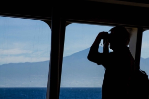 Full-Day Gomera Jeep Safari from Puerto de La Cruz