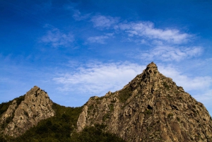 Full-Day Gomera Jeep Safari from Puerto de La Cruz