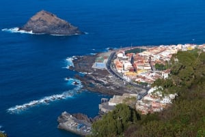 Full-Day Scuba Diving in Tenerife from Abades Beach