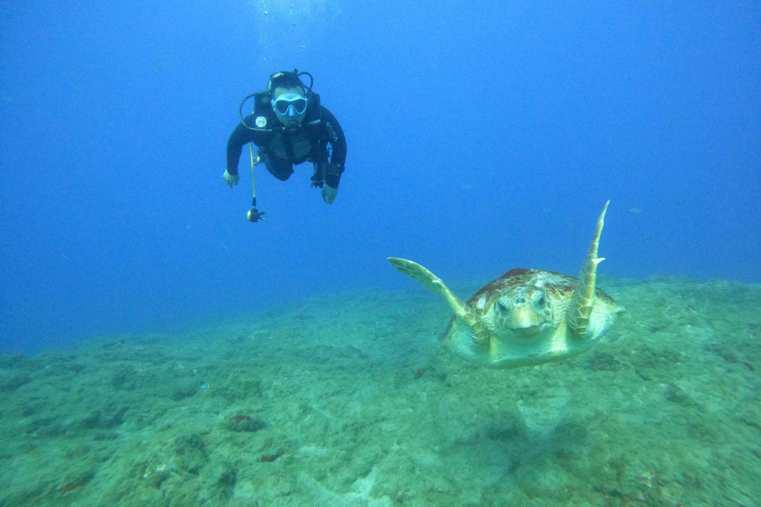 Fun Dive for sertifiserte dykkere på Tenerife