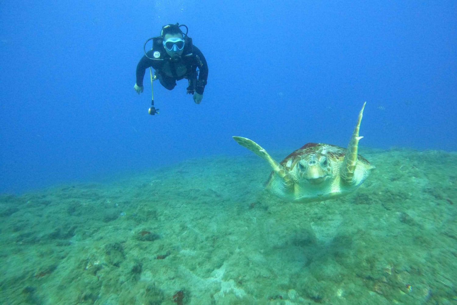 Fun Dive dla certyfikowanych nurków na Teneryfie