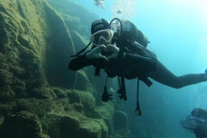 Fun Dive for Certified Divers in Tenerife