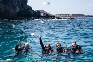 Fun Dive dla certyfikowanych nurków na Teneryfie