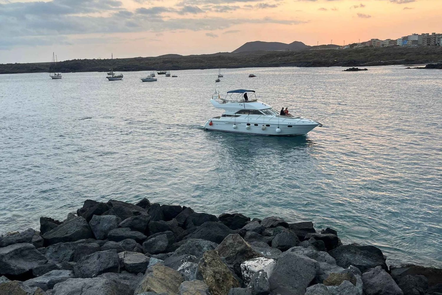 Круиз для гурманов на закате с наблюдением за китами