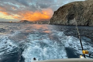 Gourmet cruise at sunset with whale watching